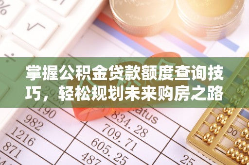 融水掌握公积金贷款额度查询技巧，轻松规划未来购房之路